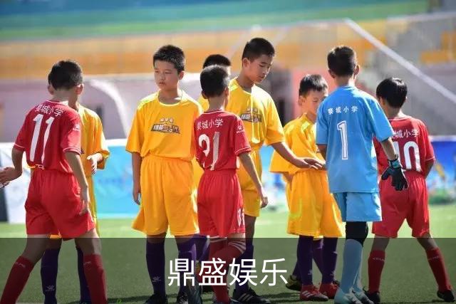 鼎盛娱乐公司简介